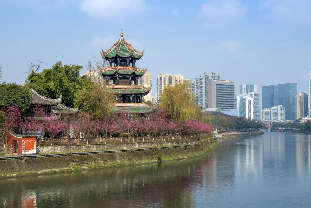 极美王勤望江楼下赏梅踏春(7)