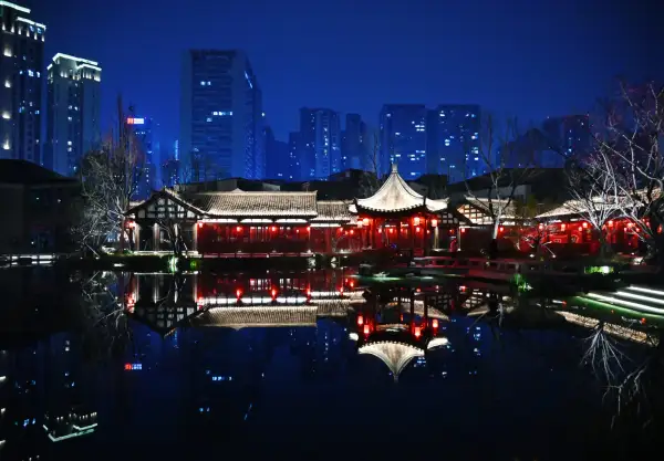 铁像寺水街闹元宵(6)