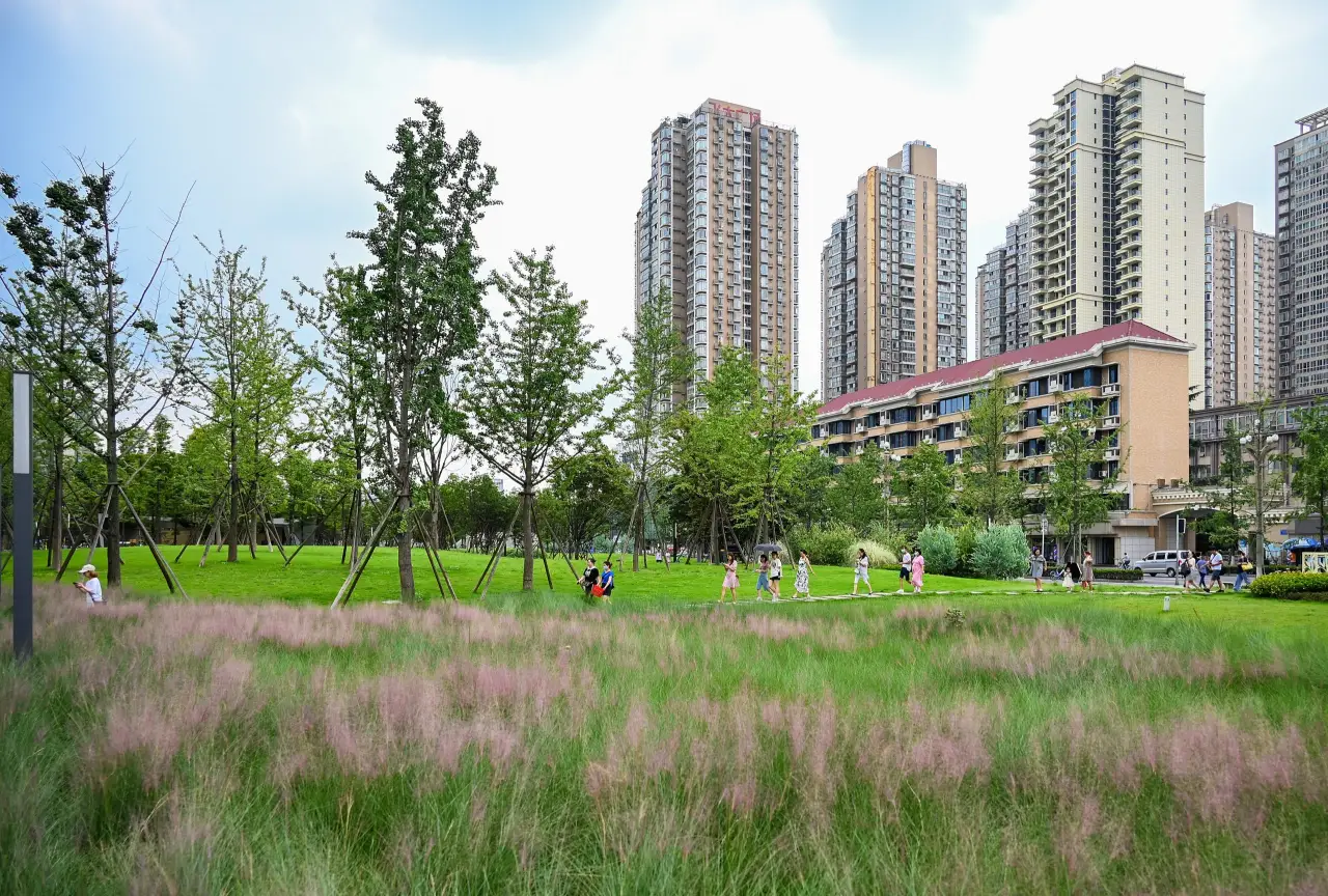 极美王效新金牛公园(18)