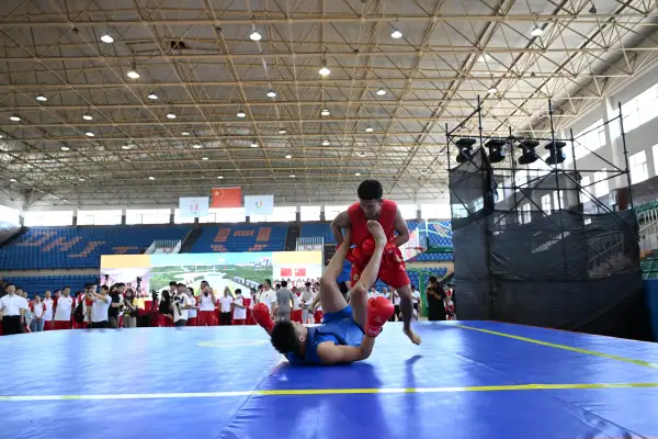 成都大运会中国代表团今日正式成立(15)