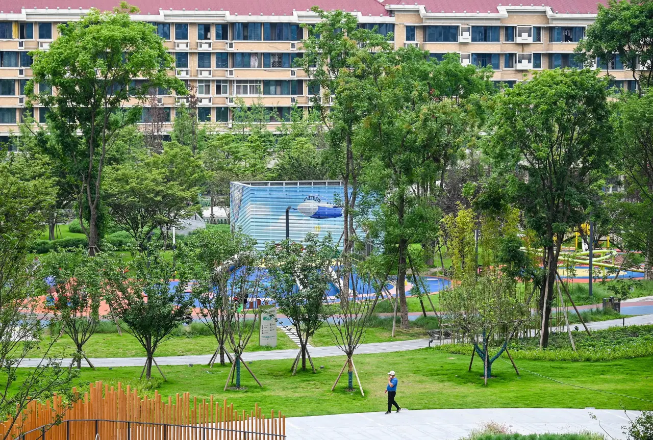 极美王效新金牛公园(9)