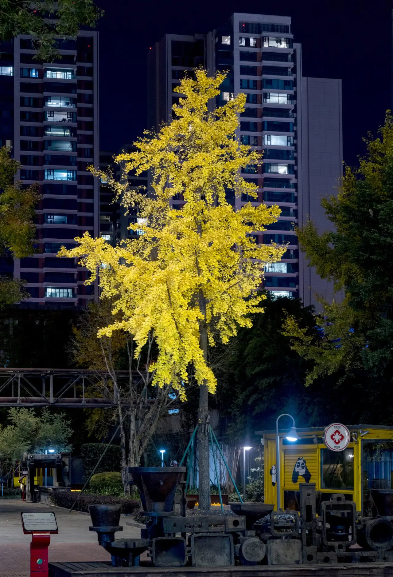极美陶轲早晚安0108-0112(3)