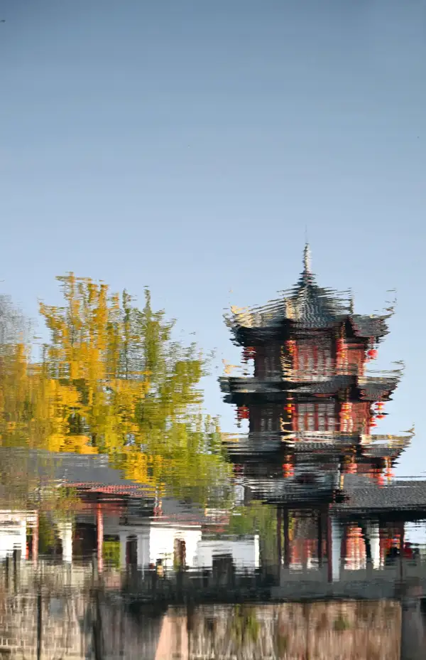 极美王效早晚安1225-1229