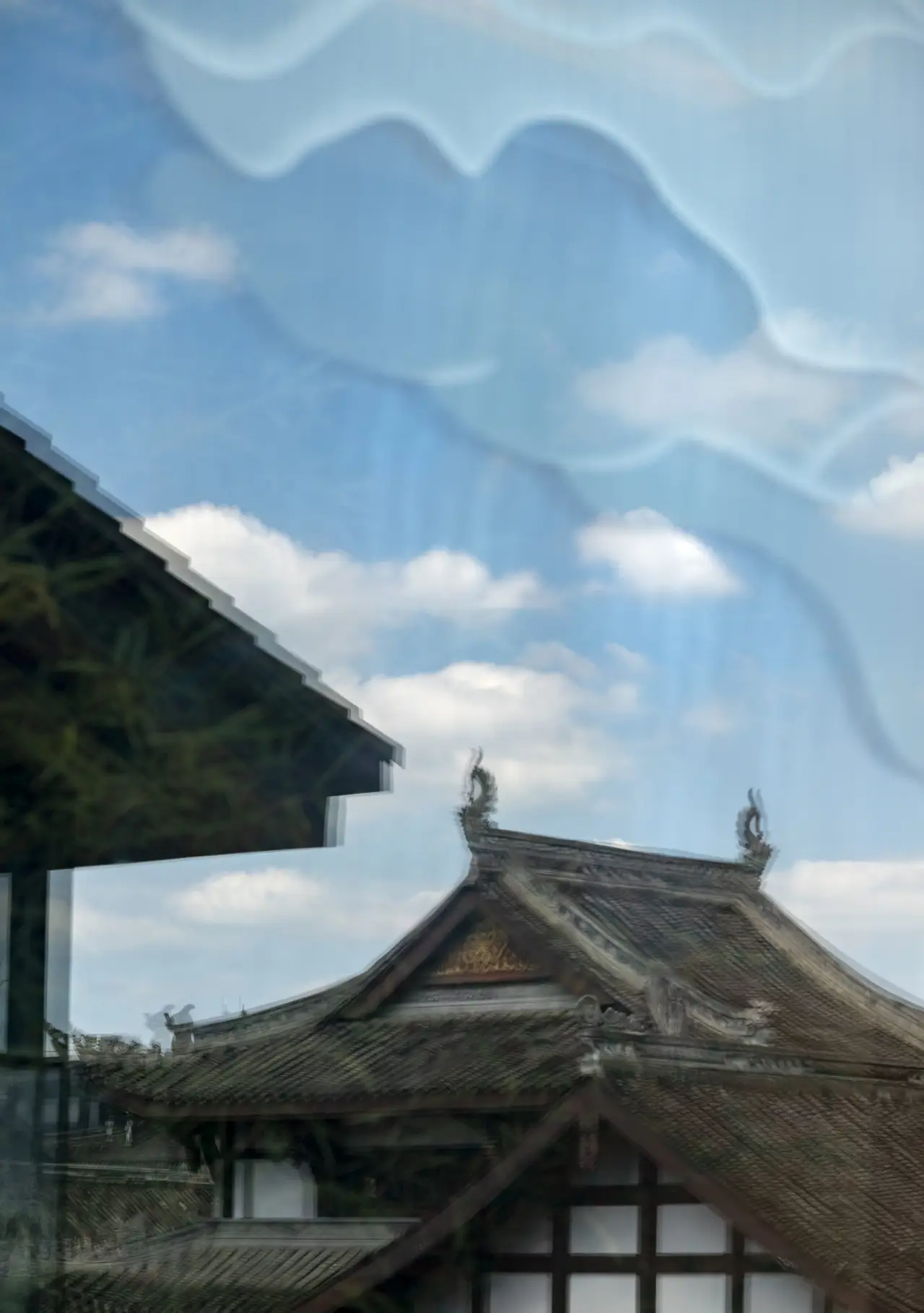 极美陶轲早晚安1016-1020