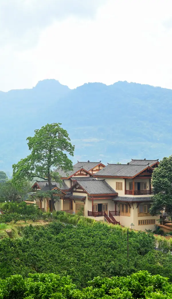 极美王效早晚安0822-0826(2)