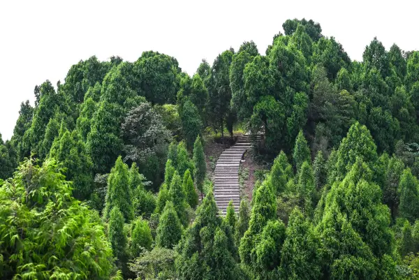 极美王效龙泉山国家森林公园新见书山(8)