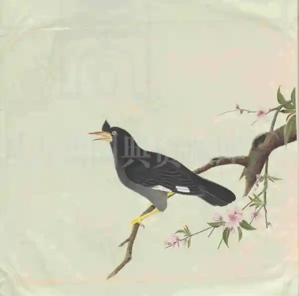 外销画册-花鸟图83