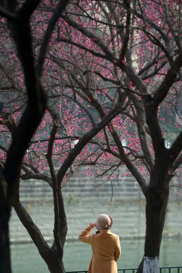 极美王勤0308-0312早晚安