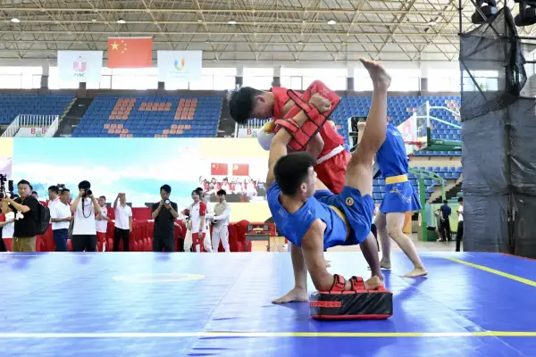 成都大运会中国代表团今日正式成立(13)