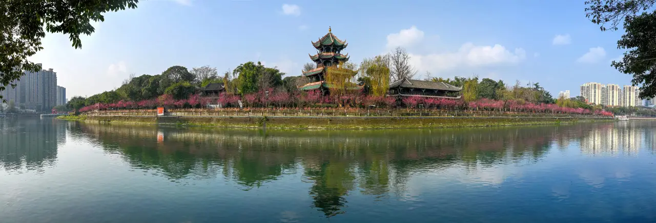 极美王勤望江楼下赏梅踏春