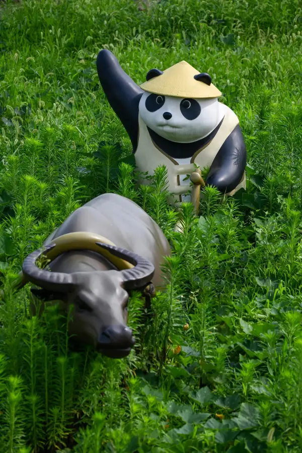 极美王勤早晚安0808-0812